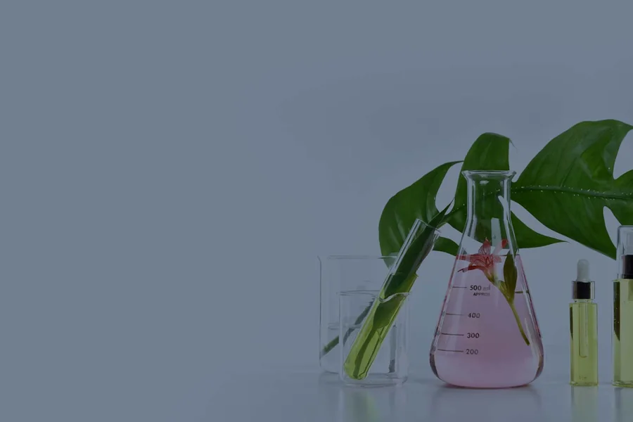 Laboratory glassware on a bench